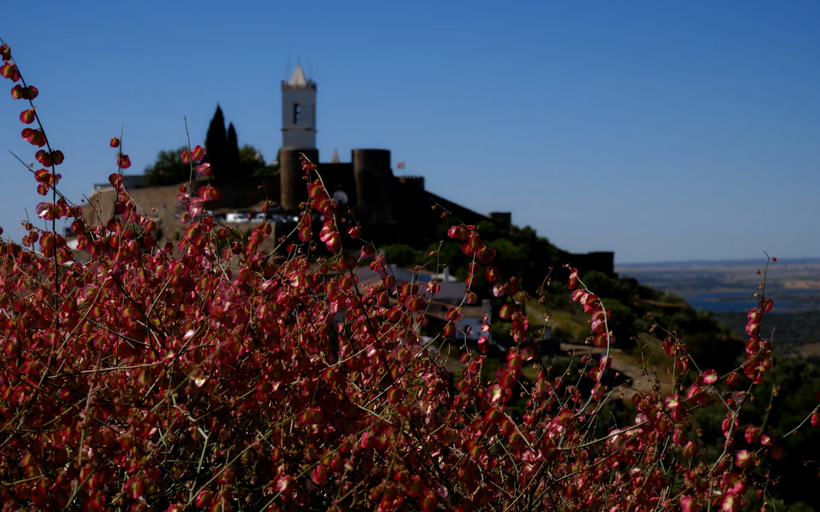 The hilltop view