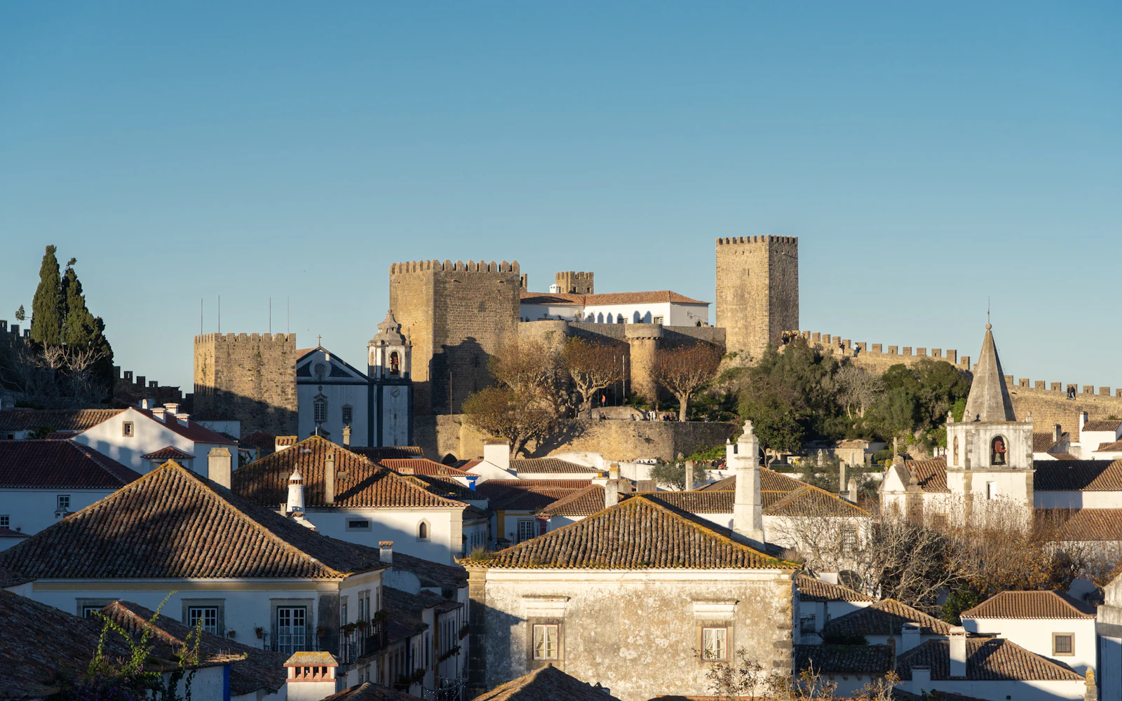 Castle and defensive walls