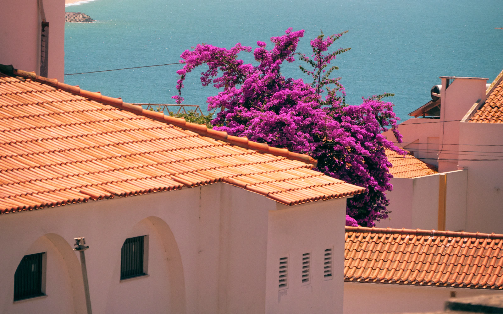 Amazing 9 Days Tour in Portugal: Learn about Portugal