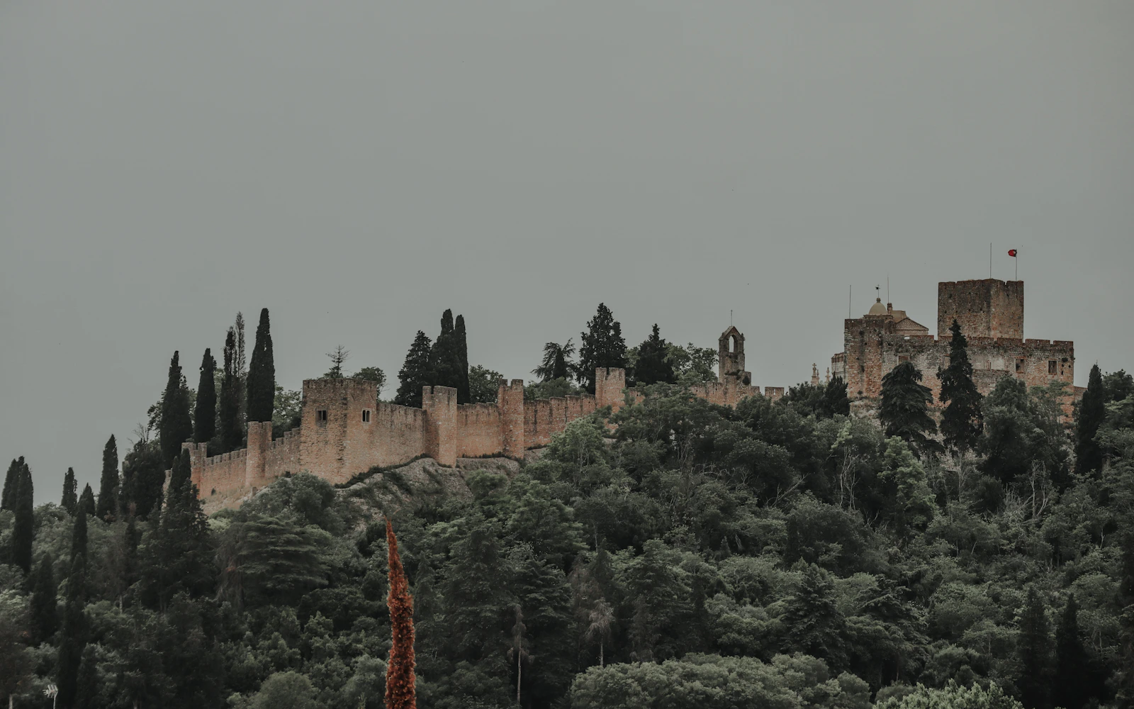 Fatima and Tomar Private Tour