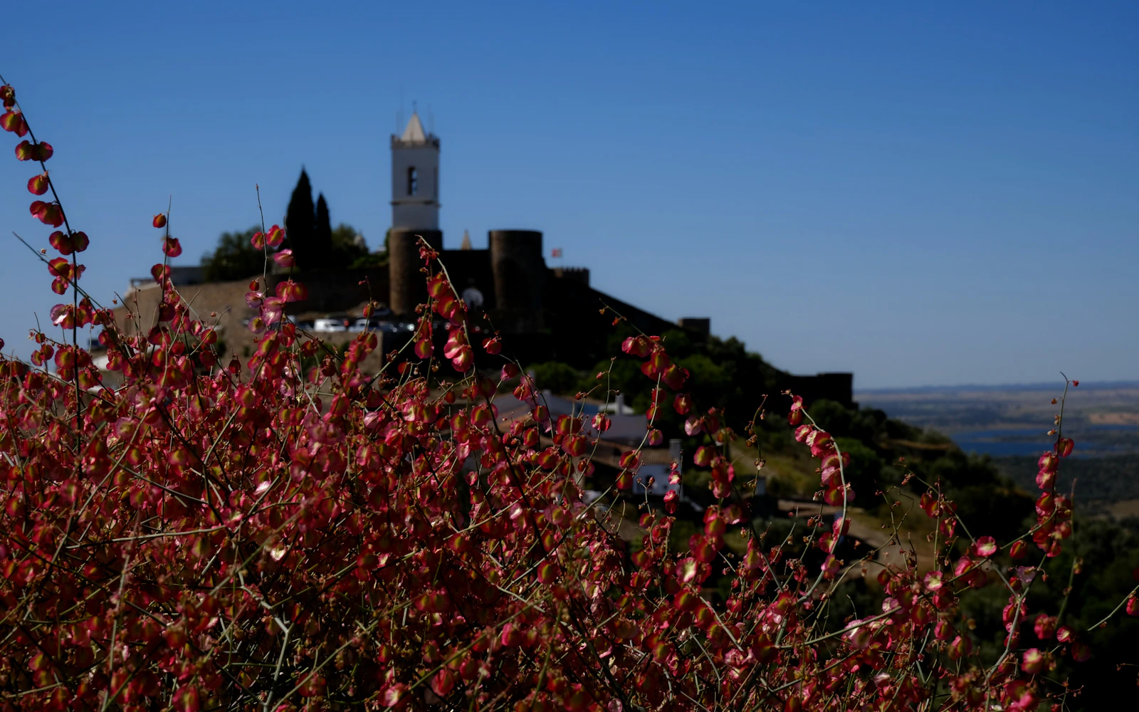 Évora and Monsaraz Private Tour