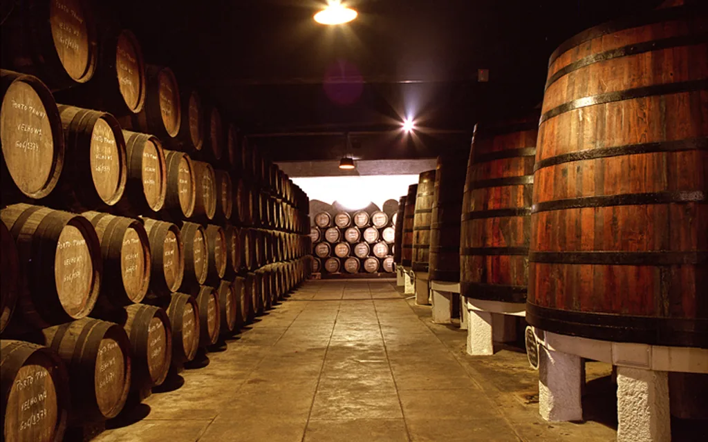 Port wine cellar