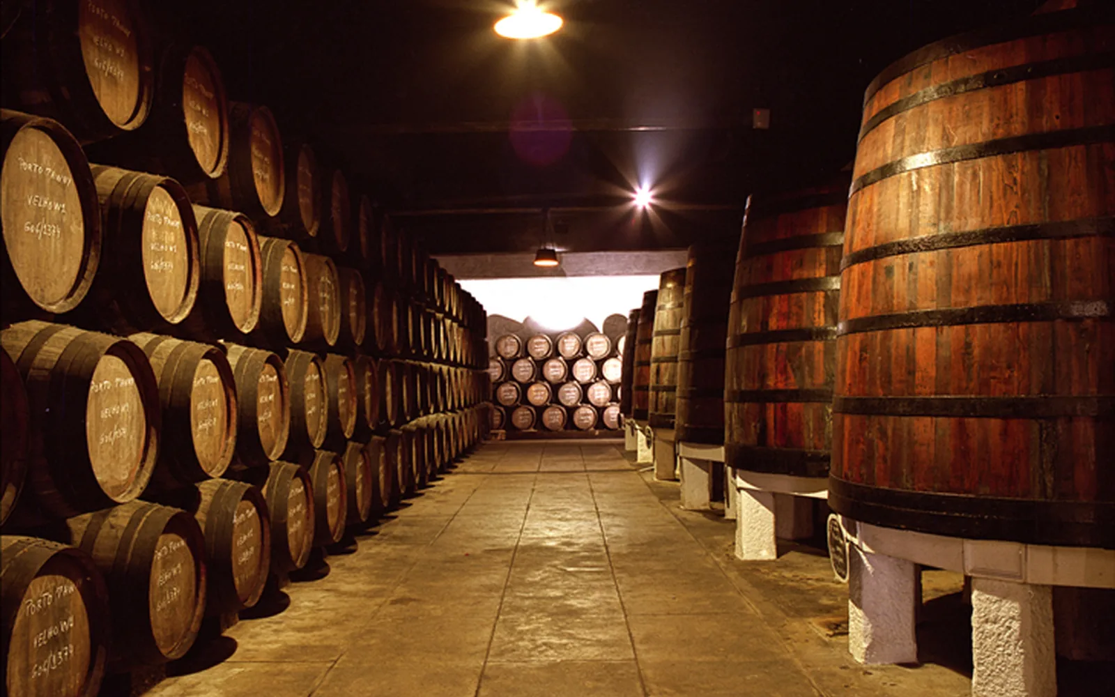 Port wine cellar